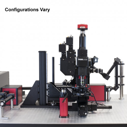 BERGAMO - Микроскопы для визуализации методом многофотонной микроскопии, Thorlabs