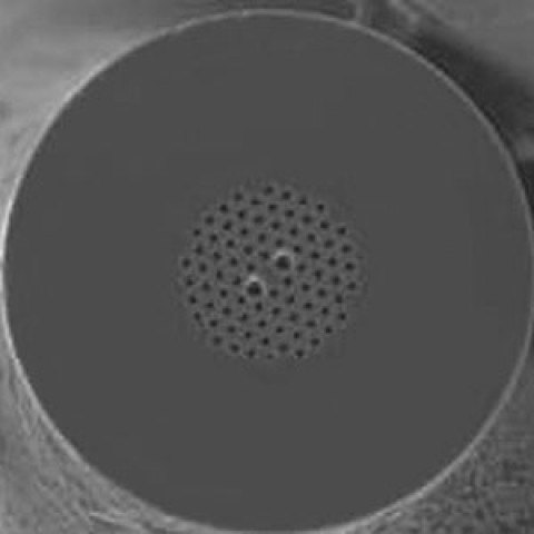 PM-1550-01 - Фотонно-кристаллическое волокно с сохранением поляризации, Polarization-Maintaining Photonic Crystal Fiber, рабочая длина волны: 1550 нм, Thorlabs (! цена указана за 1 м волокна!)