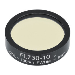 FL730-10 - Фильтр для работы с диодным лазером, Ø1", центральная длина волны 730 ± 2 нм, ширина полосы пропускания 10 ± 2 нм, Thorlabs