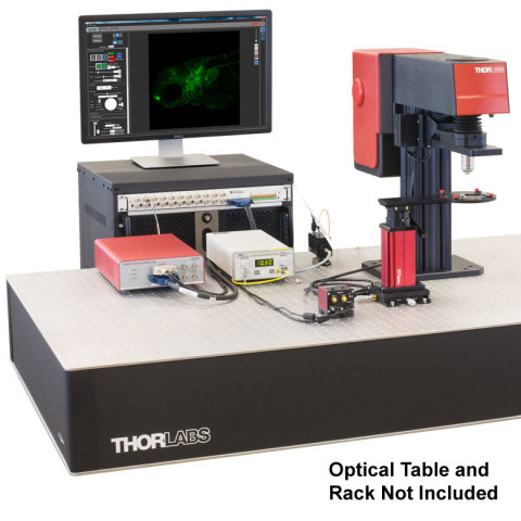 CM201 - Одноканальный конфокальный микроскоп для флуоресцентной визуализации GFP белка, Thorlabs