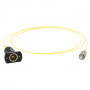 LP660-SF50 - Лазерный диод, длина волны излучения: 660 нм, мощность: 50 мВт, схема контактов: тип C, соединен с одномодовым волокном, разъем: FC/PC, Thorlabs