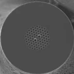 PM-1550-01 - Фотонно-кристаллическое волокно с сохранением поляризации, Polarization-Maintaining Photonic Crystal Fiber, рабочая длина волны: 1550 нм, Thorlabs (! цена указана за 1 м волокна!)
